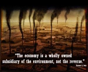 economy subsidiary of environment